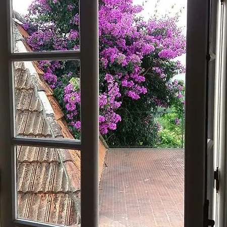 Casa Das Serras Do Porto بيت للعطل Aguiar de Sousa